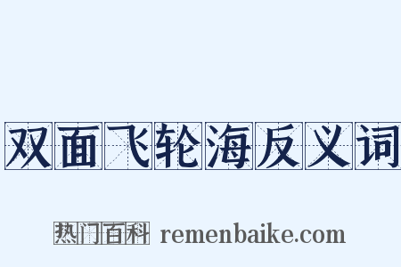 双面飞轮海反义词是什么意思的图片